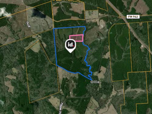 6 to 70.5 Acres in East Texas : Livingston : Polk County : Texas