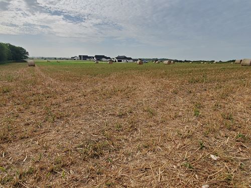 6939 Cedar Creek Rd : Temple : Bell County : Texas