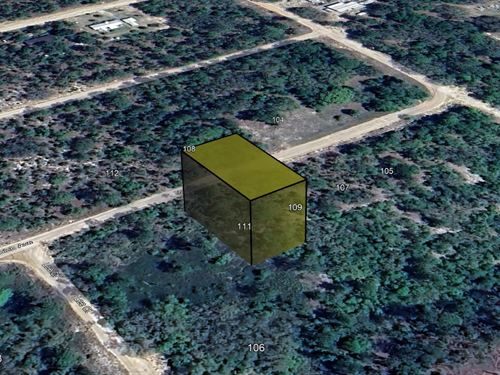 Rural Dream Lot, $49 Down : Interlachen : Putnam County : Florida