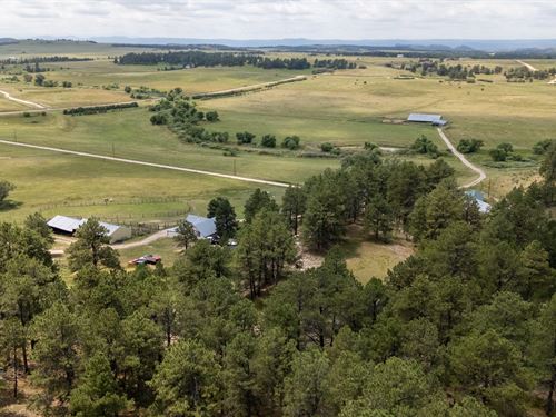 A Bar Ranch : Elbert : Douglas County : Colorado