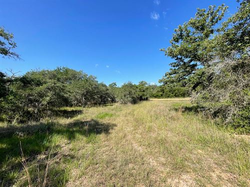 2.17 Acres, Live Oaks TX Land : Hallettsville : Lavaca County : Texas