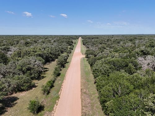 2.17Ac Unrestricted Corner Lot : Hallettsville : Lavaca County : Texas