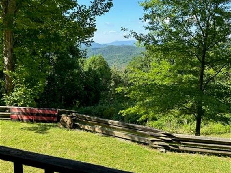 Ideal Camping Acreage : Mouth Of Wi : Grayson County : Virginia