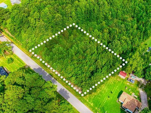 No Zoning, Private, Owner Financing : Windsor : Bertie County : North Carolina