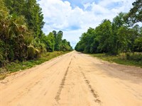 Short Walk To The Lake, $285/Mo : Interlachen : Putnam County : Florida