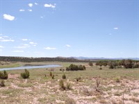 Tiny Home Paradise Near Concho Lake : Concho : Apache County : Arizona