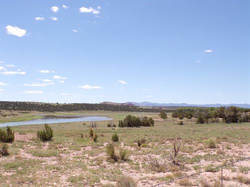 Tiny Home Paradise Near Concho Lake : Concho : Apache County : Arizona