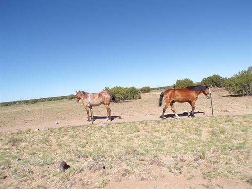RV Pull Through, 2 AZ Lots : Concho : Apache County : Arizona