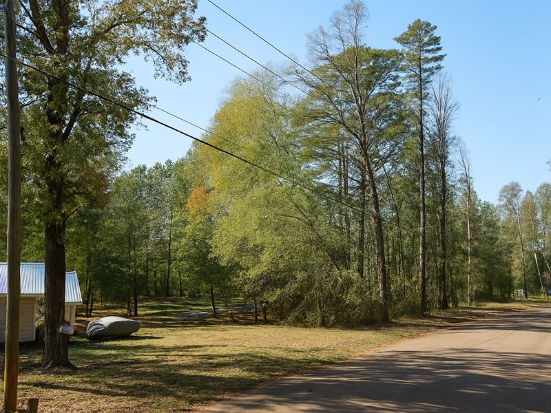 Unrestricted 0.3 Acre in Brandon MS : Brandon : Rankin County : Mississippi