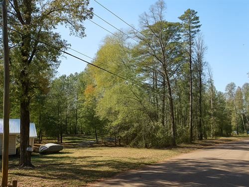 Unrestricted 0.3 Acre in Brandon MS : Brandon : Rankin County : Mississippi
