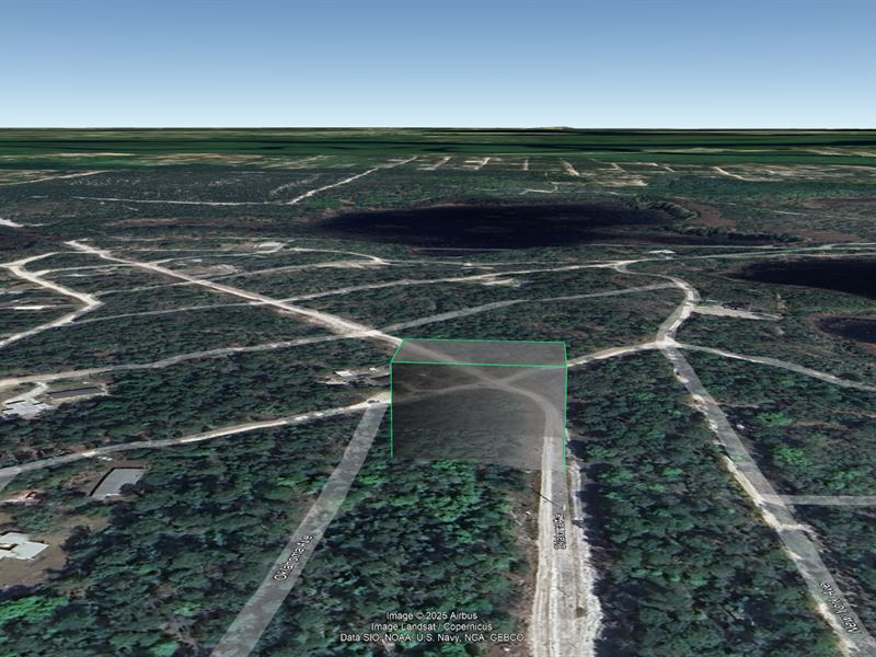Affordable Satsuma FL Land $277/Mo : Satsuma : Putnam County : Florida