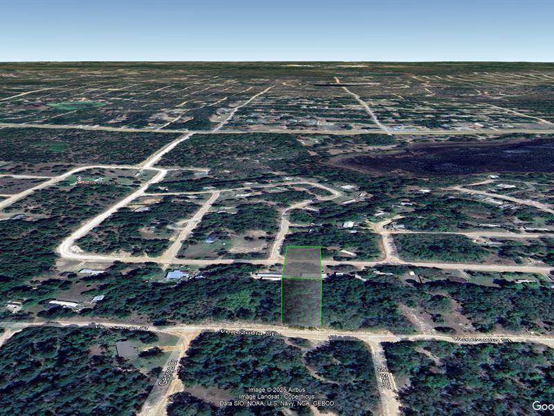 Plot in Interlachen, Fl, Only $287 : Interlachen : Putnam County : Florida