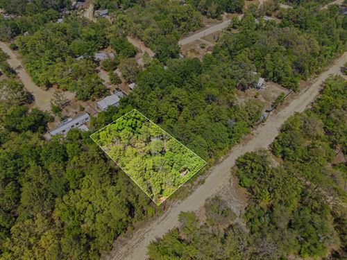 Plot in Interlachen, Fl, Only $287 : Interlachen : Putnam County : Florida