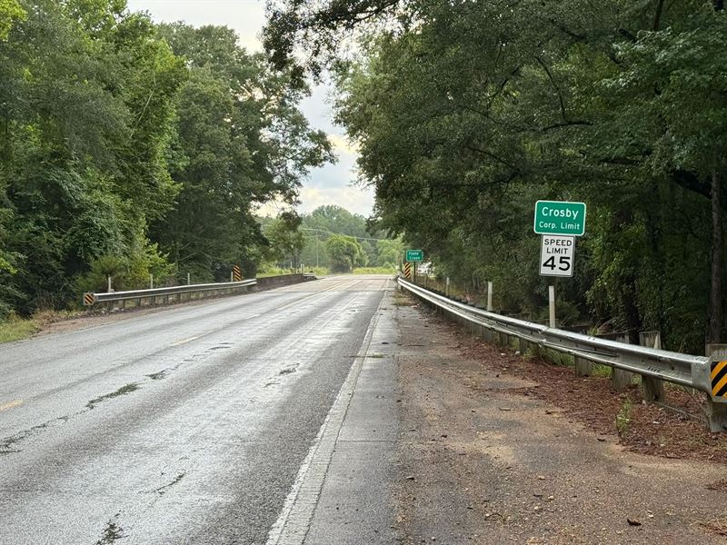 55 Acres in Amite County, MS : Crosby : Amite County : Mississippi