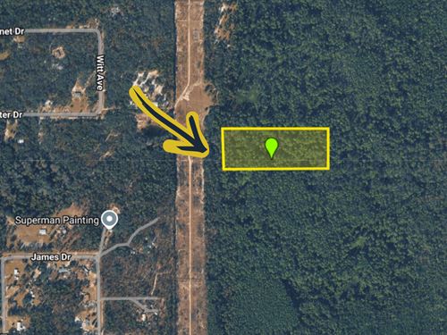 Be a Land Owner Near Witt Ave : Palatka : Putnam County : Florida