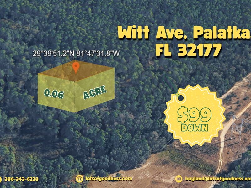 Be a Land Owner Near Witt Ave : Palatka : Putnam County : Florida