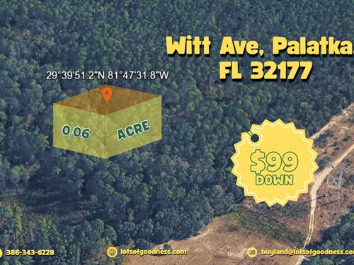 Be a Land Owner Near Witt Ave : Palatka : Putnam County : Florida