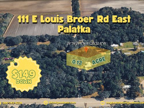 Your Own Lot On Louis Broer Rd : East Palatka : Putnam County : Florida