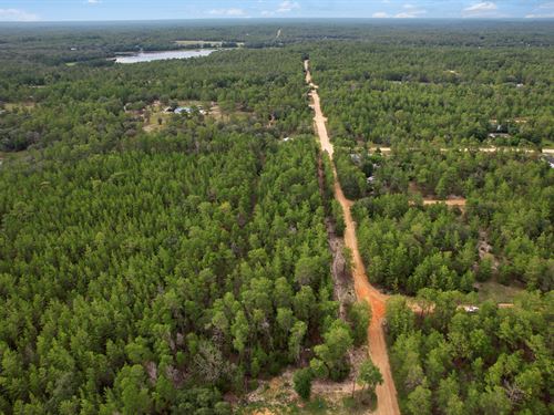 Florida Homestead Ready to Grow : Interlachen : Putnam County : Florida