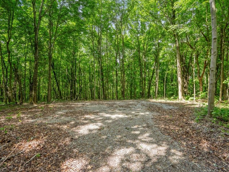 Potts Hill Rd, 45 Acres : Bainbridge : Ross County : Ohio