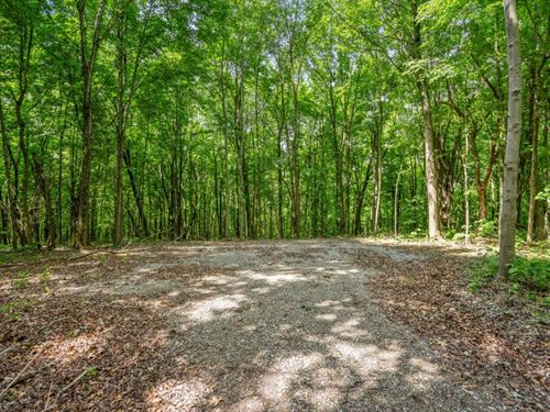 Potts Hill Rd, 45 Acres : Bainbridge : Ross County : Ohio