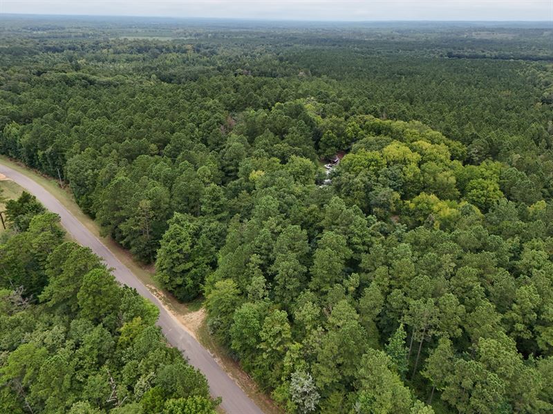 Craig Hill Hunting & Timber Tract : Selma : Dallas County : Alabama
