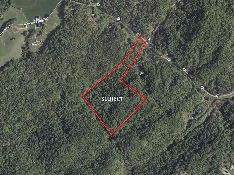 New Years Liquidation Highway 95 N : Greenback : Loudon County : Tennessee