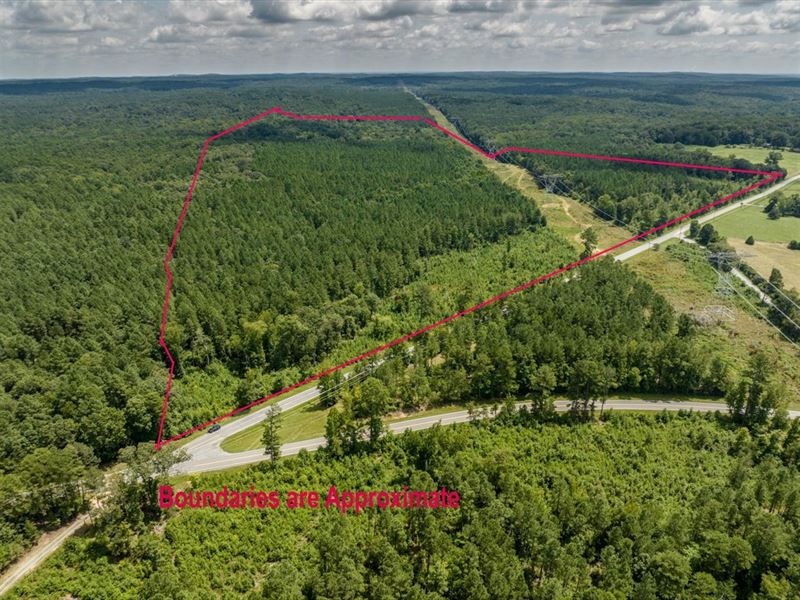 Tract C Chicken Bridge Road : Pittsboro : Chatham County : North Carolina