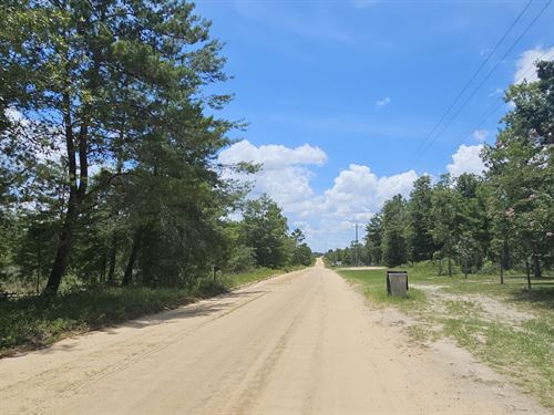 Double Lot Florida Retreat Package : Hawthorne : Putnam County : Florida