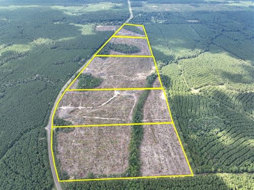 29 Acres, T-3, FM 92, 287044-045 : Spurger : Tyler County : Texas