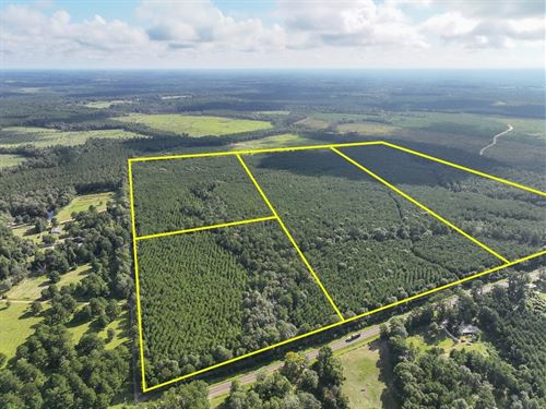 25, T-1A, Fm 1013, 287052 : Mount Union : Jasper County : Texas