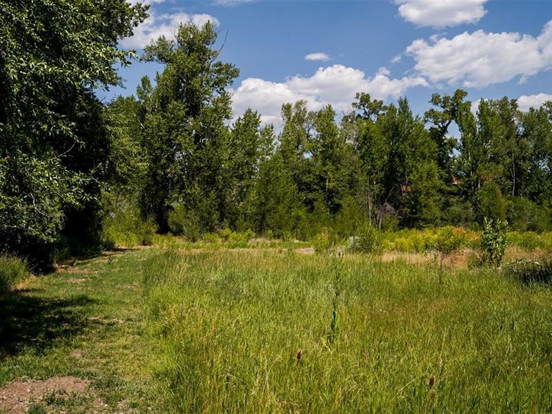 One-Of-A-Kind : Salida : Chaffee County : Colorado