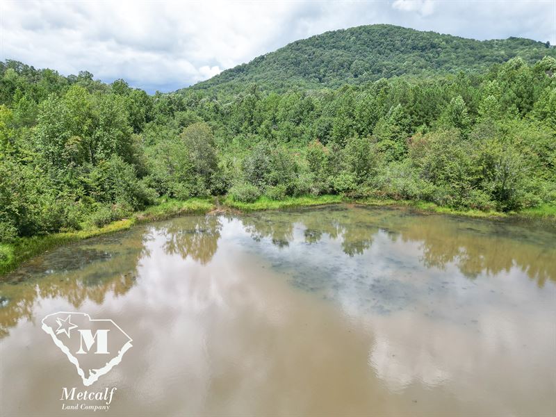 Finley's Lake 14 +/- Acres : Pickens : Pickens County : South Carolina