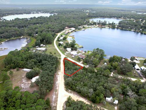 Affordable Lot Near Violet Lake : Interlachen : Putnam County : Florida