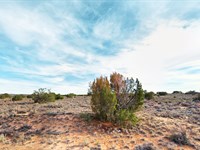 1.07 Acres AZ Owner Finance, $96/Mo : Sanders : Apache County : Arizona