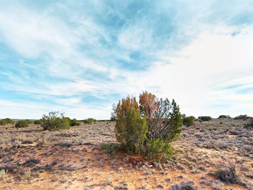 1.07 Acres AZ Owner Finance, $96/Mo : Sanders : Apache County : Arizona