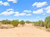 Your Weekend Freedom Spot, $96/Mo : Sanders : Apache County : Arizona