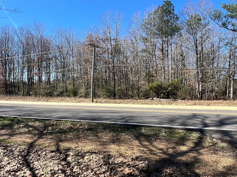 21 Acre Dually Zoned Property in OK : Starkville : Oktibbeha County : Mississippi