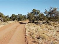 2.5 Acres in Arizona for $250 Down : Saint Johns : Apache County : Arizona