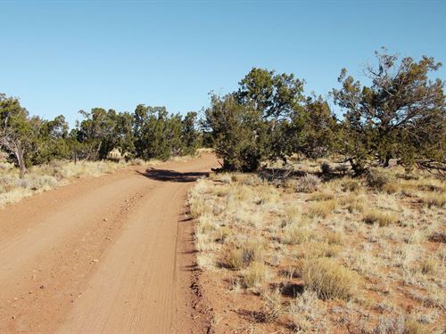 2.5 Acres in Arizona for $250 Down : Saint Johns : Apache County : Arizona