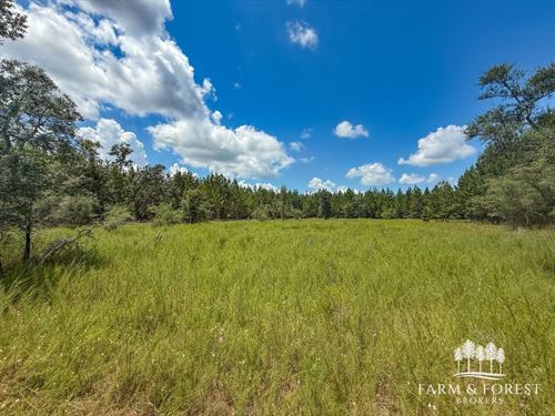 Alred Road Tract 4 : Westville : Holmes County : Florida