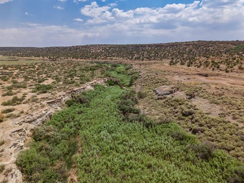 Cienega Amarilla Ranch : Quemado : Catron County : New Mexico