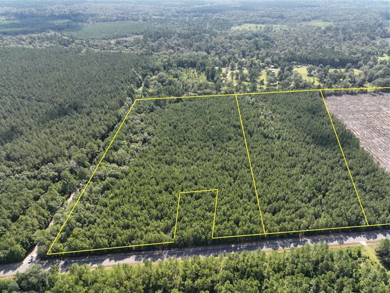 17 Acres, T-2, State Road 3205 : Oakdale : Allen Parish : Louisiana