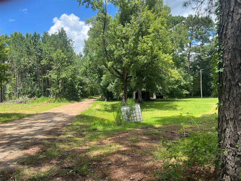 Home on 1 Acre Lot in Franklin Coun : Meadville : Franklin County : Mississippi