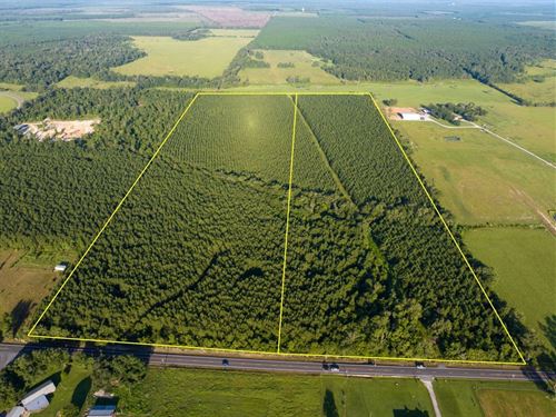 40 Acres, T-1, Edgerly Road, 307 : Dequincy : Calcasieu Parish : Louisiana
