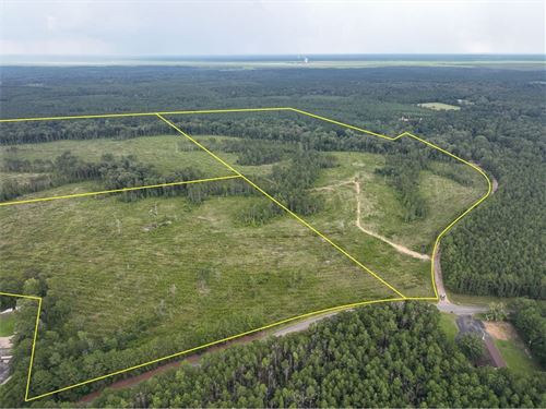 25 Acres, T-1, Highway 127, 3050 : Trout : Lasalle Parish : Louisiana