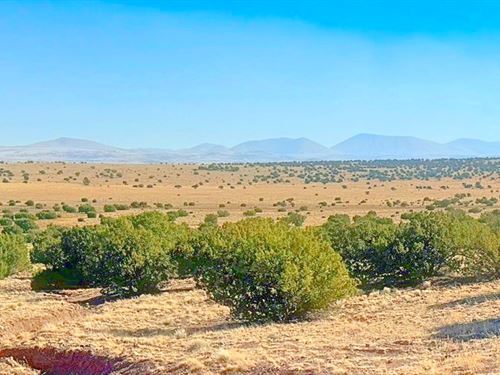 Cedar Knoll View of Entire Valley : Concho : Apache County : Arizona