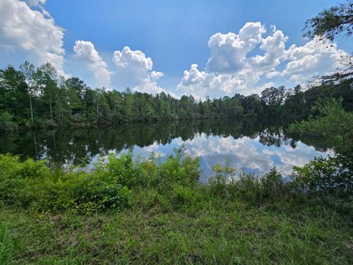 Hatcher Forest : Georgetown : Quitman County : Georgia