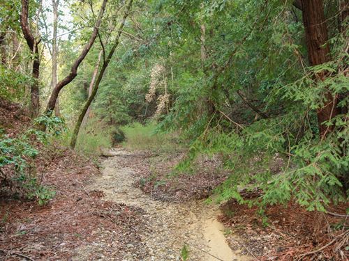 Rare Santa Cruz Land Opportunity : Felton : Santa Cruz County : California