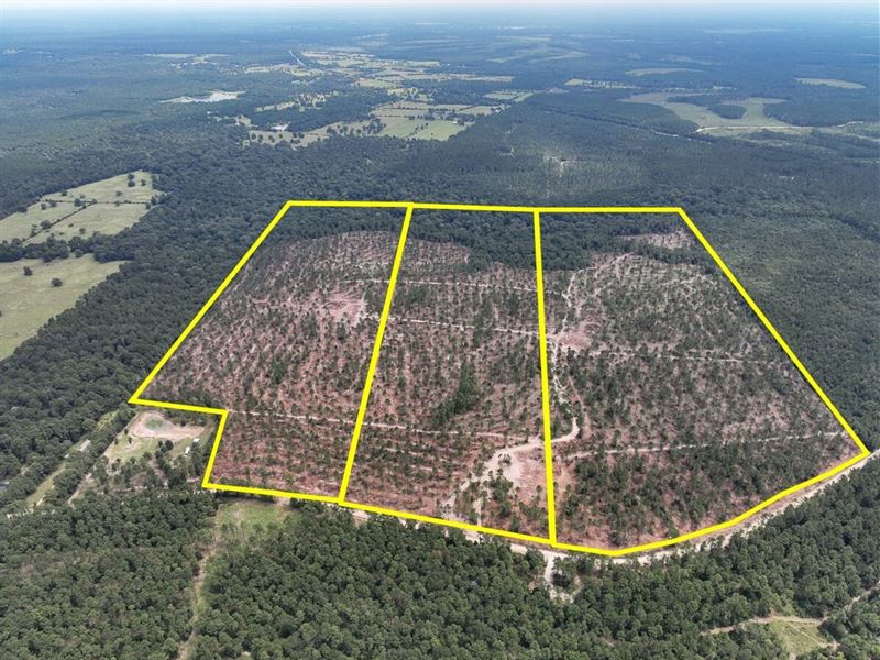 72 Acres, T-33, Boontown Road, 4 : Groveton : Trinity County : Texas